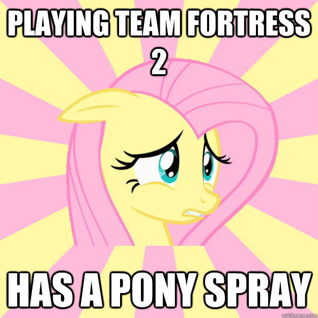 playing team fortress 2  has a pony spray - playing team fortress 2  has a pony spray  Socially awkward brony