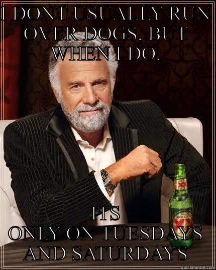 Car eat dog  - I DONT USUALLY RUN OVER DOGS, BUT WHEN I DO, ITS ONLY ON TUESDAYS AND SATURDAYS The Most Interesting Man In The World