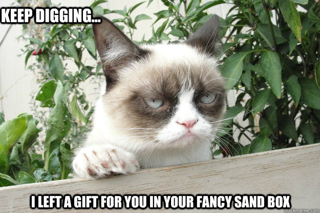 I left a gift for you in your fancy sand box Keep digging...  grumpy cat fence