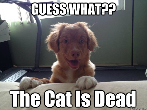 GUESS WHAT?? The Cat Is Dead  Overly Attached Dog