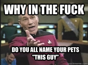 Why in the fuck do you all name your pets 