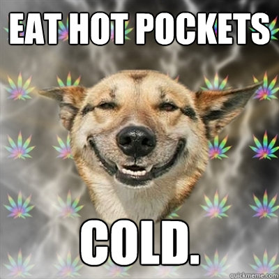 eat hot pockets cold.  Stoner Dog