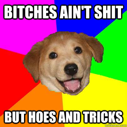 bitches ain't shit but hoes and tricks  Advice Dog