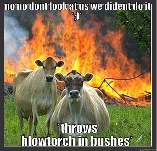 NO NO DONT LOOK AT US WE DIDENT DO IT *;)*  *THROWS BLOWTORCH IN BUSHES* Evil cows