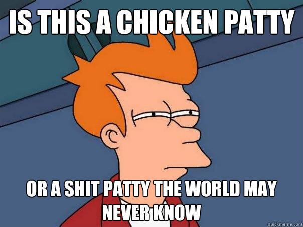 Is this a chicken patty or a shit patty the world may never know  Futurama Fry