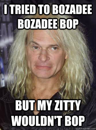 I tried to bozadee bozadee bop  but my zitty wouldn't bop  David Lee Roth Problems