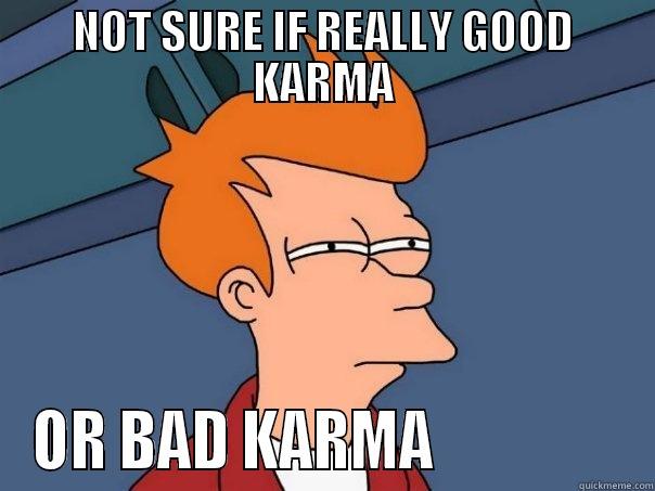 NOT SURE IF REALLY GOOD KARMA OR BAD KARMA                Futurama Fry