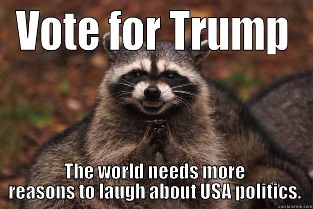 VOTE FOR TRUMP THE WORLD NEEDS MORE REASONS TO LAUGH ABOUT USA POLITICS. Evil Plotting Raccoon