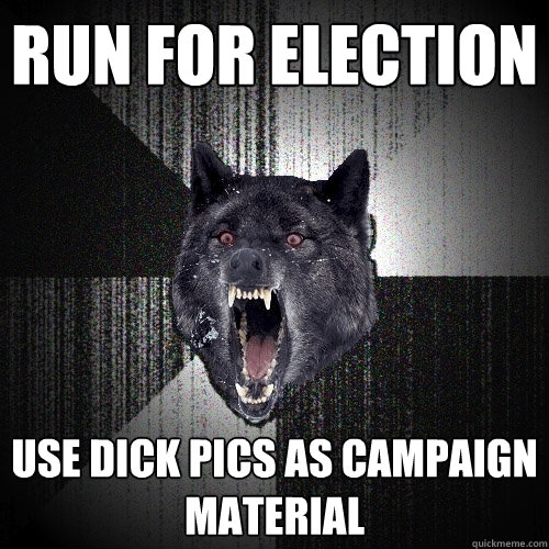 run for election use dick pics as campaign material  Insanity Wolf