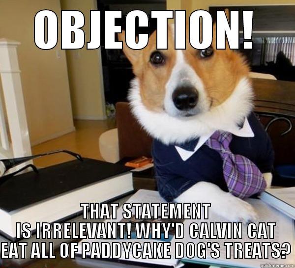 OBJECTION! THAT STATEMENT IS IRRELEVANT! WHY'D CALVIN CAT EAT ALL OF PADDYCAKE DOG'S TREATS? Lawyer Dog