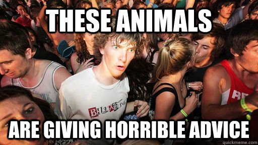 these animals are giving horrible advice  Sudden Clarity Clarence