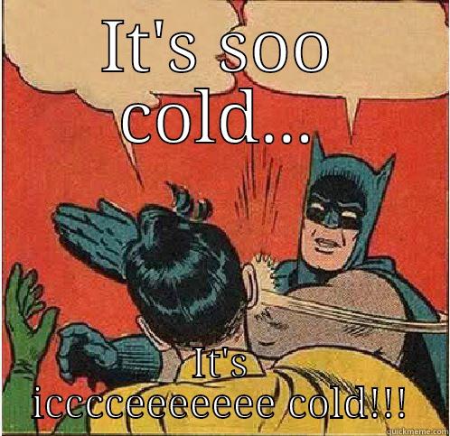 IT'S SOO COLD... IT'S ICCCCEEEEEEE COLD!!! Batman Slapping Robin