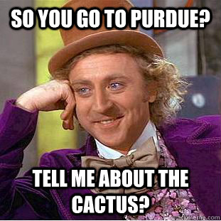 So you go to purdue? Tell me about the cactus?  Condescending Wonka