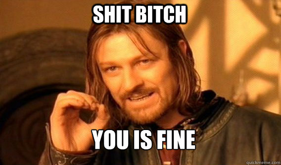 Shit Bitch you is fine - Shit Bitch you is fine  Boromir