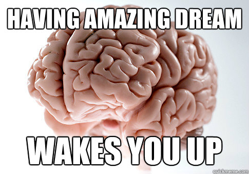 Having amazing dream Wakes you up  Scumbag Brain