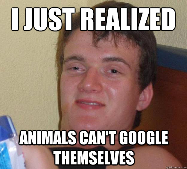 I JUST REALIZED ANIMALS CAN'T GOOGLE THEMSELVES  10 Guy