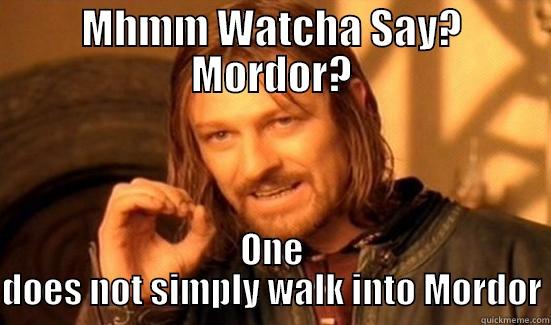 Mhmm Watcha Say? - MHMM WATCHA SAY? MORDOR? ONE DOES NOT SIMPLY WALK INTO MORDOR Boromir