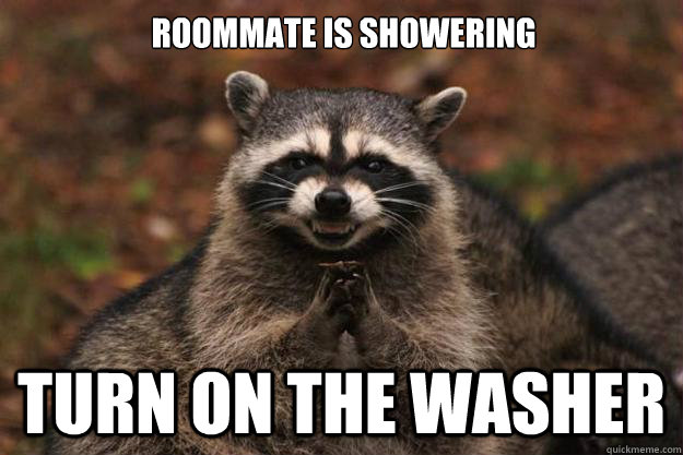 Roommate is showering Turn on the washer - Roommate is showering Turn on the washer  Evil Plotting Raccoon