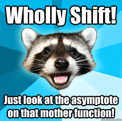 Wholly Shift! Just look at the asymptote on that mother function! - Wholly Shift! Just look at the asymptote on that mother function!  Lame Pun Coon