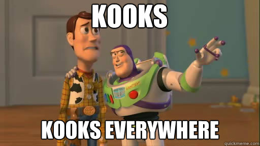 Kooks Kooks everywhere  Everywhere