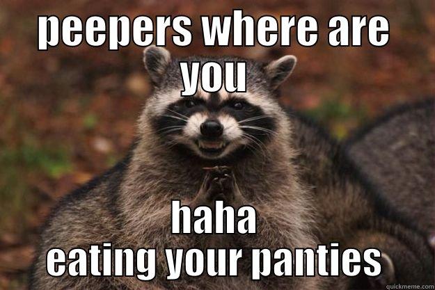 PEEPERS WHERE ARE YOU HAHA EATING YOUR PANTIES Evil Plotting Raccoon