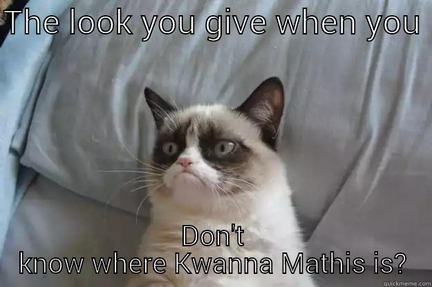 Grumpy grumpy - THE LOOK YOU GIVE WHEN YOU  DON'T KNOW WHERE KWANNA MATHIS IS? Grumpy Cat