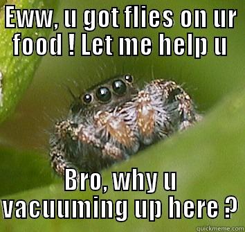 EWW, U GOT FLIES ON UR FOOD ! LET ME HELP U BRO, WHY U VACUUMING UP HERE ? Misunderstood Spider