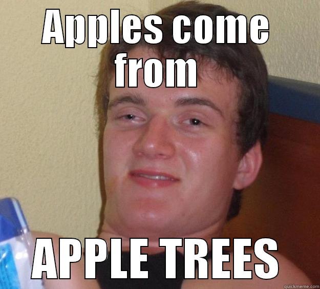 apples you like? - APPLES COME FROM APPLE TREES 10 Guy