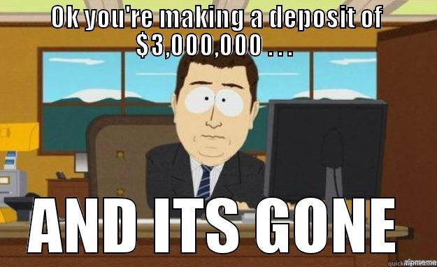 OK YOU'RE MAKING A DEPOSIT OF $3,000,000 . . .  AND ITS GONE aaaand its gone