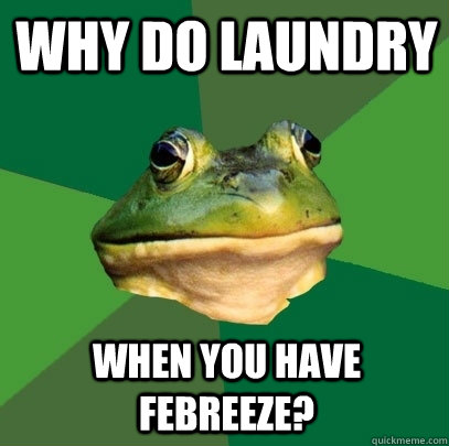 Why do laundry when you have febreeze? - Why do laundry when you have febreeze?  Foul Bachelor Frog