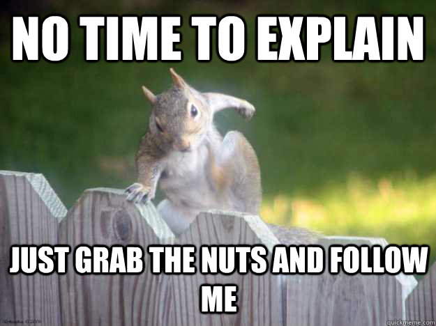 no time to explain just grab the nuts and follow me  Parkour Squirrel