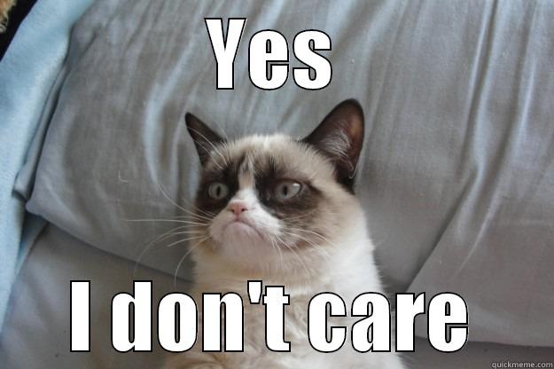 YES I DON'T CARE Grumpy Cat