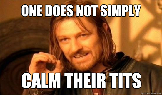 One Does Not Simply calm their tits  Boromir