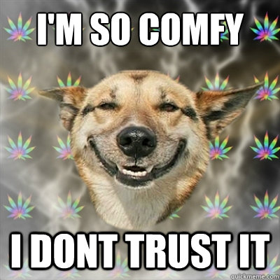 I'm so comfy I dont trust it  Stoner Dog