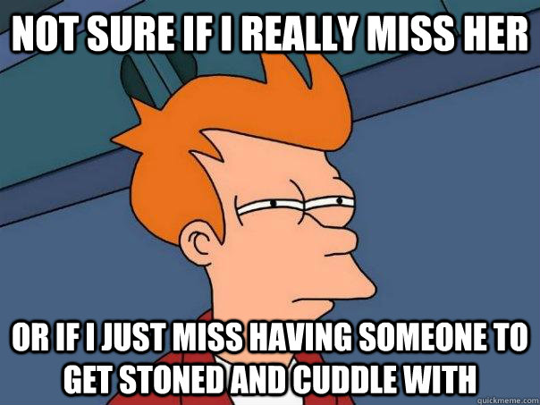 Not sure if I really miss her Or if I just miss having someone to get stoned and cuddle with  Futurama Fry