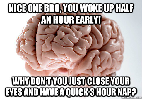 NICE ONE BRO, YOU WOKE UP HALF AN HOUR EARLY! WHY DON'T YOU JUST CLOSE YOUR EYES AND HAVE A QUICK 3 HOUR NAP?   Scumbag Brain