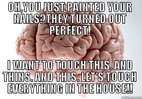 OH,YOU JUST PAINTED YOUR NAILS?THEY TURNED OUT PERFECT! I WANT TO TOUCH THIS. AND THINS. AND THIS. LET'S TOUCH EVERYTHING IN THE HOUSE!! Scumbag Brain