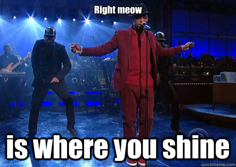 Right meow is where you shine - Right meow is where you shine  Cool Cat Ne-yo