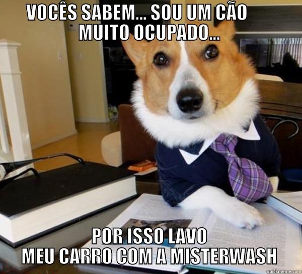 VOCÊS SABEM... SOU UM CÃO        MUITO OCUPADO... POR ISSO LAVO MEU CARRO COM A MISTERWASH Lawyer Dog