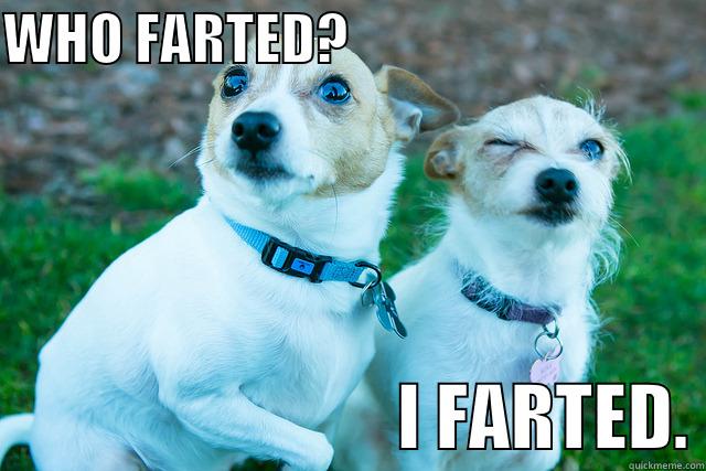 WHO FARTED?                                                             I FARTED. Misc