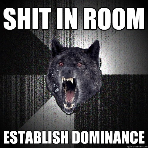 SHIT IN ROOM EStABLISH DOMINANCE - SHIT IN ROOM EStABLISH DOMINANCE  Insanity Wolf