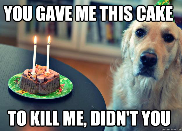 You gave me this cake To kill me, didn't you  Sad Birthday Dog