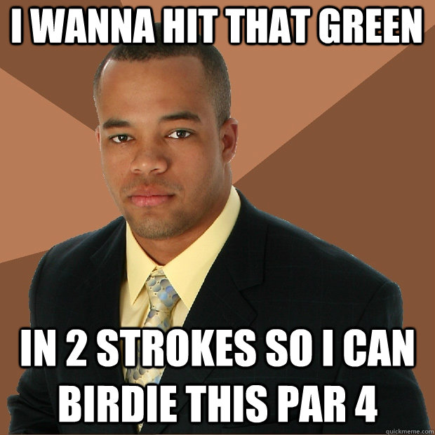 i wanna hit that green in 2 strokes so i can birdie this par 4  Successful Black Man