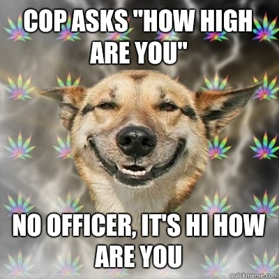 Cop asks 