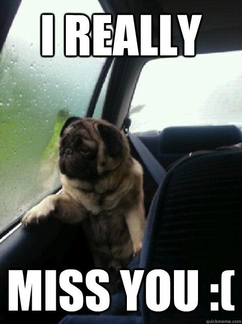 I REALLY MISS YOU :(  Introspective Pug