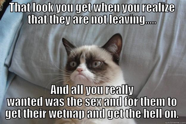 An aha moment....lololol - THAT LOOK YOU GET WHEN YOU REALIZE THAT THEY ARE NOT LEAVING..... AND ALL YOU REALLY WANTED WAS THE SEX AND FOR THEM TO GET THEIR WETNAP AND GET THE HELL ON. Grumpy Cat