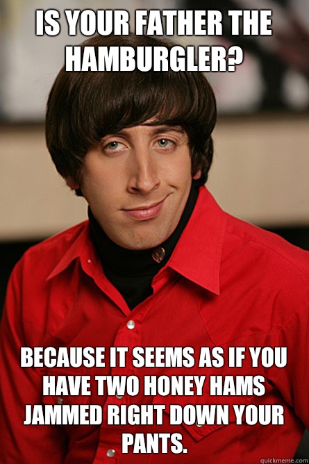 Is your father the hamburgler? Because it seems as if you have two honey hams jammed right down your pants.  Pickup Line Scientist