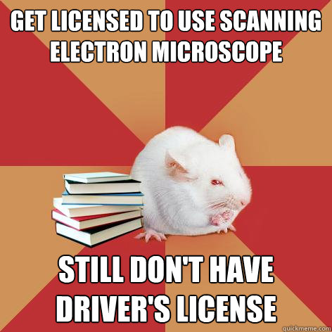 Get licensed to use scanning electron microscope still don't have driver's license  Science Major Mouse