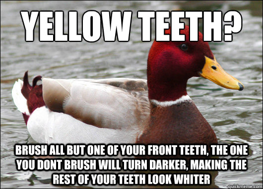 yellow teeth?
 brush all but one of your front teeth, the one you dont brush will turn darker, making the rest of your teeth look whiter - yellow teeth?
 brush all but one of your front teeth, the one you dont brush will turn darker, making the rest of your teeth look whiter  Malicious Advice Mallard