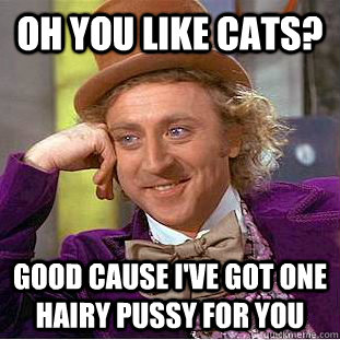 Oh you like cats? good cause i've got one hairy pussy for you  Condescending Wonka